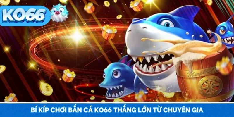 Bí kíp chơi bắn cá KO66 thắng lớn từ chuyên gia