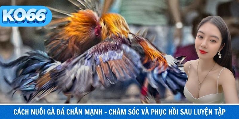 Bài tập phù hợp giúp tăng lực chân gà