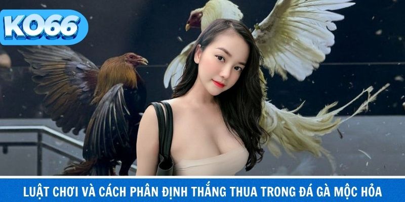 Đá Gà Mộc Hoả – Trường Gà Truyền Thống Nhiều Người Quan Tâm 3 Luật mộc hoả rõ ràng, phân thắng thua minh bạch