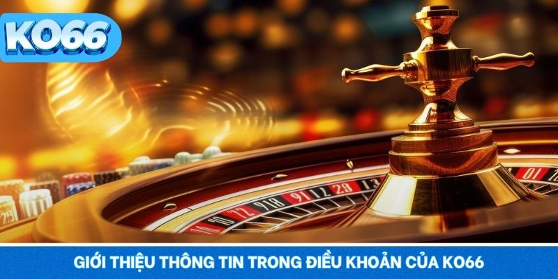 Giới thiệu thông tin trong điều khoản của KO66