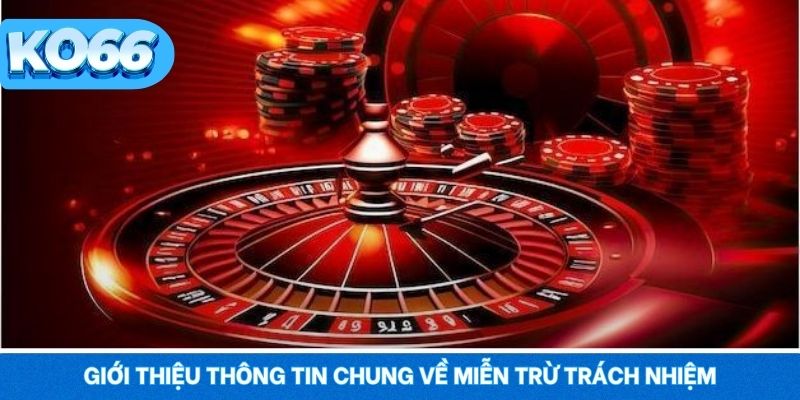 Thông tin chung về miễn trừ trách nhiệm trong hệ thống