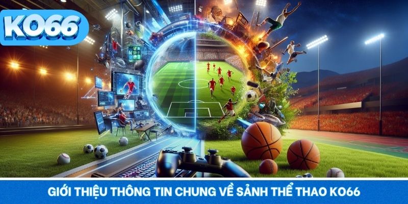 Thể Thao KO66 1 Giới thiệu thông tin chung về sảnh thể thao KO66 đình đám